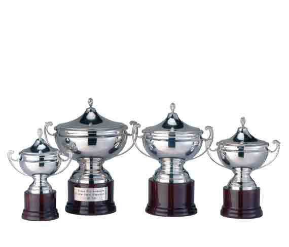 coupe argent massif
silver solid cup