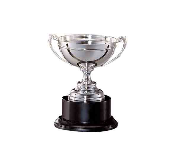 coupe prestige métal argenté
prestige silver metal cup