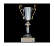 coupe classique 306
classic cup 306