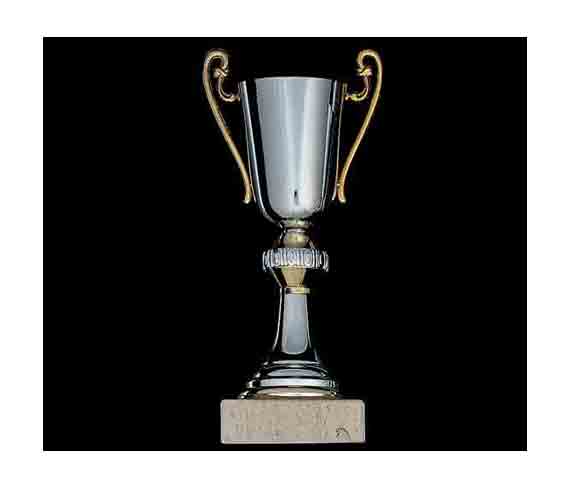coupe classique 306
classic cup 306