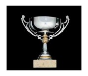 coupe classique 500
classic cup 500