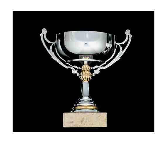 coupe classique 500
classic cup 500