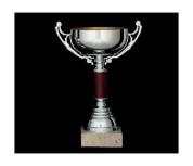 coupe classique 511
classic cup 511